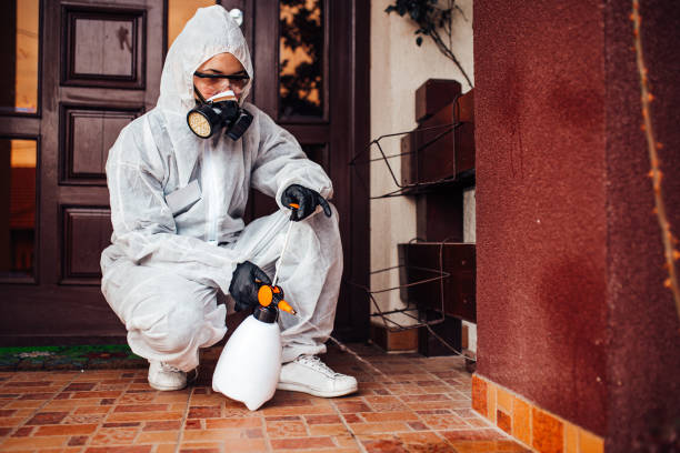 Attic and Crawl Space Rodent Treatment in Window Rock